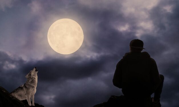 »Oh Jammer !!« – Gedicht