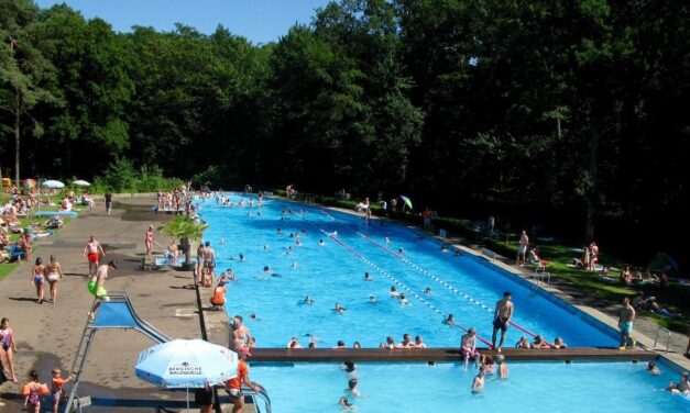 Waldbad Dünnwald – Schwimmen in der Natur
