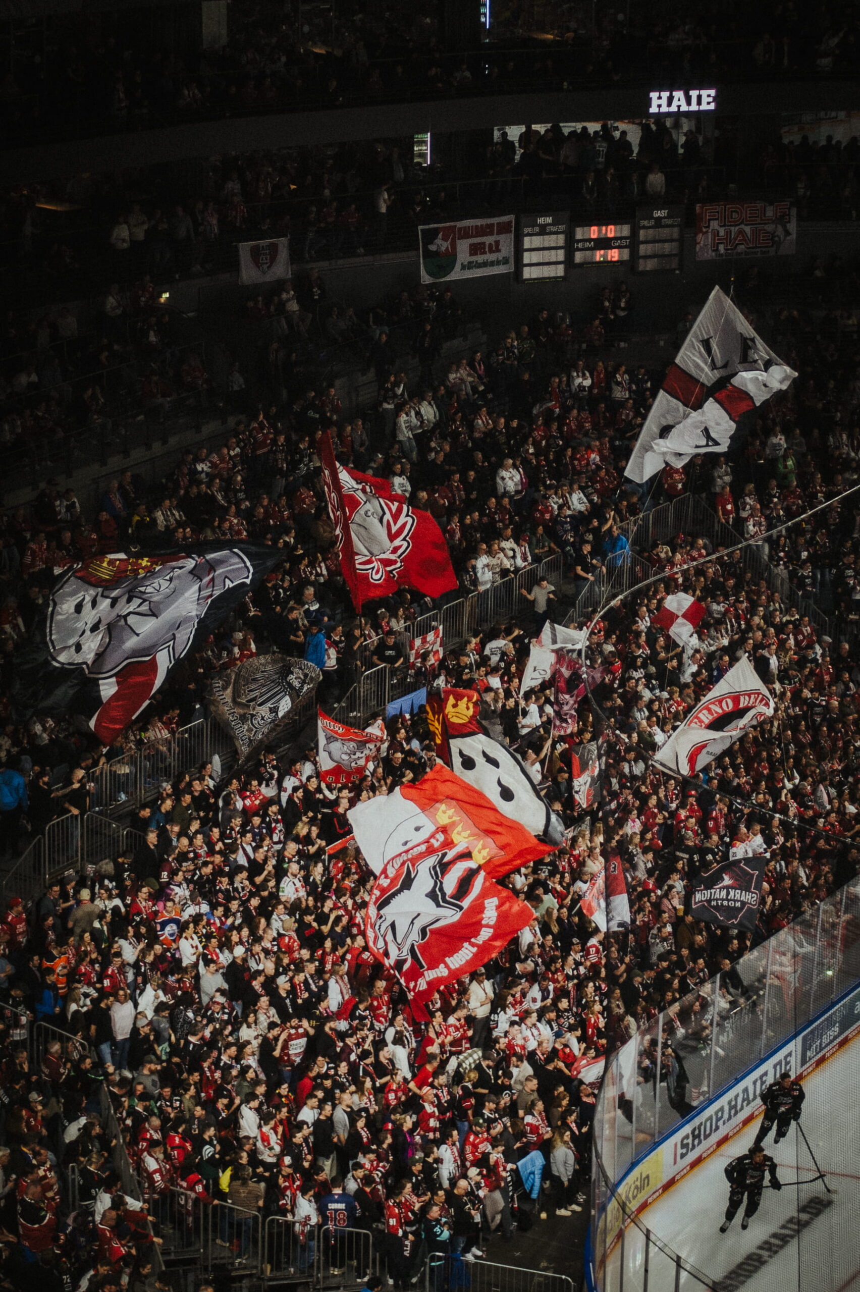 Fankurve der Kölner Haie - eine Menschenmenge in der Arena, die Fahnen und Schals hochhalten